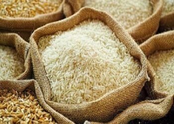 no-export-ban-farmers-get-relief-as-govt-lifts-restrictions-on-onion-and-basmati-rice