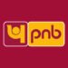 PNB Credit Card Rolls Out Exciting Offers for Zomato and Blinkit Users 8 PNB Logo