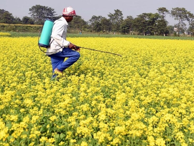 Parliamentary Panel Urges Stricter Laws to Curb Fake Agrochemical Sales 1 Parliamentary Panel Urges Stricter Laws to Curb Fake Agrochemical Sales