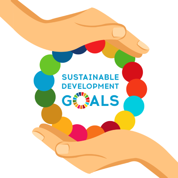 India’s Progress on SDGs Driven by Dual Strategy: NITI Aayog Vice Chairman 3 India’s Progress on SDGs Driven