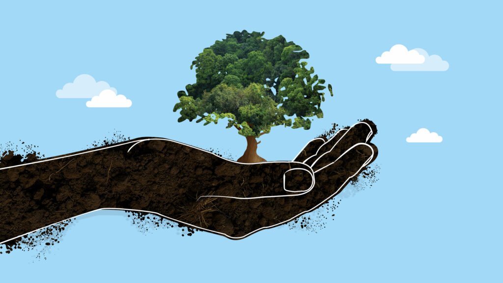 India Needs $1.5 Trillion Investment by 2030 to Combat Climate Change
