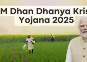 Union Cabinet Approves ‘Prime Minister Dhan-Dhaanya Krishi Yojana’ to Boost Agri Productivity in 100 Districts 5 Union Cabinet Approves ‘Prime Minister Dhan-Dhaanya Krishi Yojana’ to Boost Agri Productivity in 100 Districts