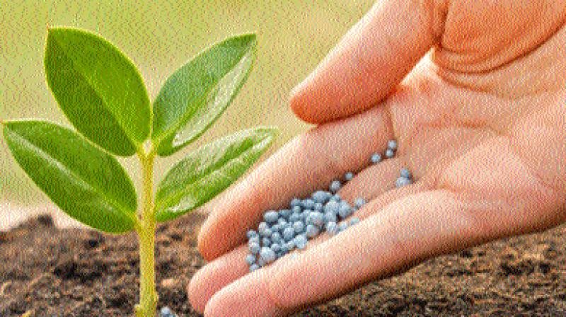 Parliamentary Panel Urges Stricter Laws to Curb Fake Agrochemical Sales