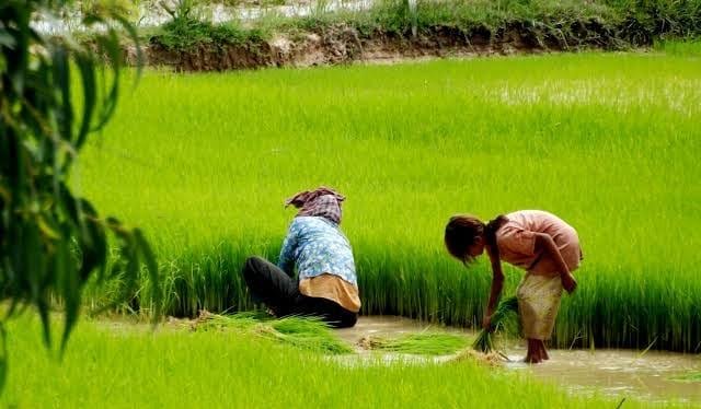 India Revises Rural Inflation Metrics: June 2025 CPI-AL and CPI-RL Show Modest Price Growth 2 India Revises Rural Inflation Metrics: June 2025 CPI-AL and CPI-RL Show Modest Price Growth