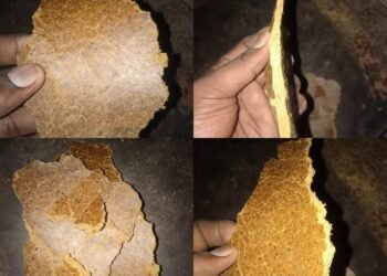 Cottonseed Oilcake Futures Slide to ₹3,199 Amid Weak Spot Demand and Lower Trader Participation