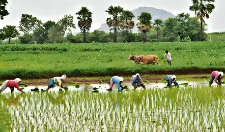 Financial Inclusion as a Tool for Empowerment, Not Just Banking Access