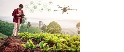 Rajasthan Government Strengthening Agri-Economy With Focus on Smart Farming, Productivity Push: CM Bhajanlal Sharma