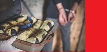 Cannabis Worth Over ₹10 Crore Seized at Delhi Airport, One Arrested: Customs