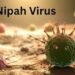 No Need to Panic Over Nipah Virus Cases in India: South Africa 9 No Need to Panic Over Nipah Virus Cases in India: South Africa
