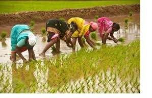 AIC Launches ‘Krishi Sakhi’ Initiative to Empower Women Farmers, Boost Inclusive Growth 3 AIC Launches ‘Krishi Sakhi’ Initiative to Empower Women Farmers, Boost Inclusive Growth