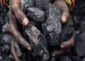 From Coal Pit to Green Cover: Adani's Surguja Mine Restored with 1.6 Million Trees