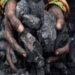 From Coal Pit to Green Cover: Adani's Surguja Mine Restored with 1.6 Million Trees