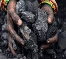 From Coal Pit to Green Cover: Adani's Surguja Mine Restored with 1.6 Million Trees