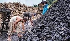 From Coal Pit to Green Cover Surguja Mine Restored with 1.6 Million Trees