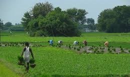 Lakhs of Farmers Committed Suicide Between 2005–14, Situation Changed Under Modi Government: UP CM Yogi Adityanath