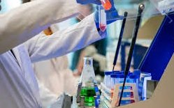 Scientists Develop Targeted Drug Delivery System to Halt Tumour Growth