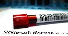 Sickle Cell Patient Dies After Allegedly Failing to Receive Blood Despite Availability; Questions Raised Over Hospital Procedures
