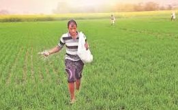 Two New Urea Plants with 2.54 Million