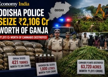 Odisha Police Seize Drugs Worth ₹2,331 Crore, Destroy Illegal Cannabis Crop Valued at ₹1,911 Crore