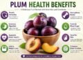 Plum Health Benefits
