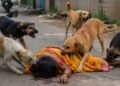 Woman Dies After Fatal Stray Dog Attack