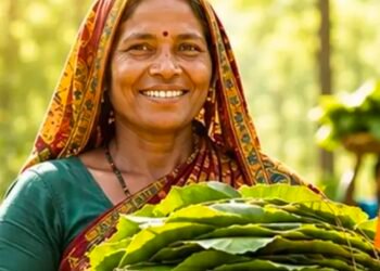 धमतरी में 23,723 तेंदूपत्ता संग्राहक परिवारों को मिलेगा ₹3.92 करोड़ का बोनस, ₹3.84 करोड़ सीधे खातों में पहुंचे