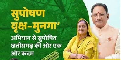 मुनगा बनेगा सुपोषित छत्तीसगढ़ का आधार
