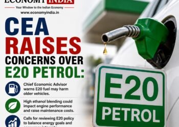 CEA Raises Concerns Over E20 Petrol: Calls for E10 Availability for Older Vehicles, Warns of Food Inflation Risks