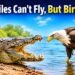 Crocodiles Can’t Fly, But Birds Can