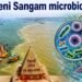Ganga at Triveni Sangam: A Remarkable Microbial Laboratory