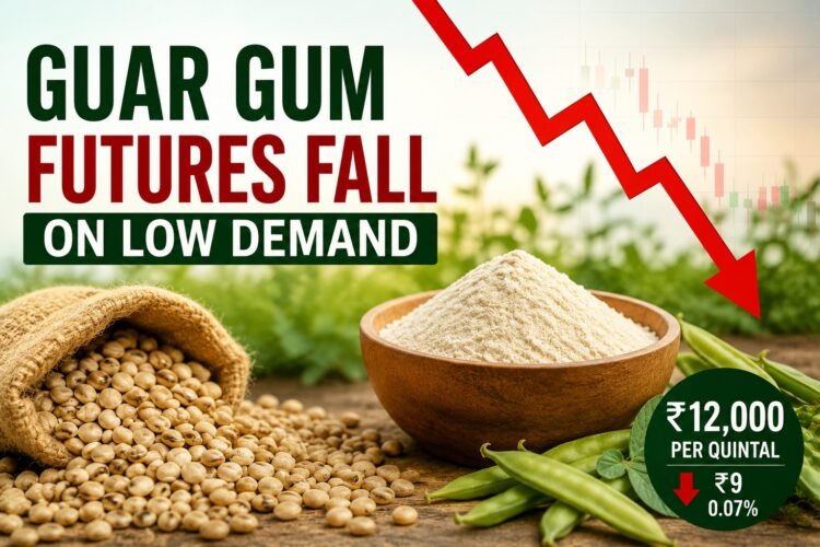 Guar Gum Futures Fall