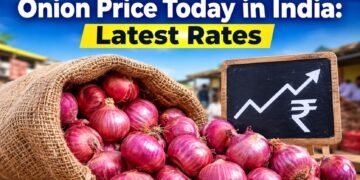 Onion Price Today in India