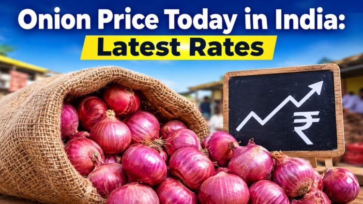 Onion Price Today in India