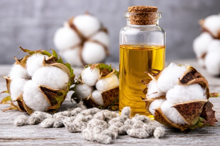 Cottonseed Oil Cake Futures Fall as Demand Remains Weak 1 Cottonseed Oil Cake Futures Fall