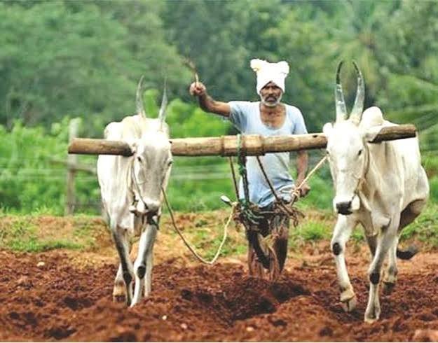 Nanded Farmers Get ₹381.94 Crore Loan Waiver, 51,330 Beneficiaries to Benefit 2 Nanded Farmers Get ₹381.94 Crore Loan Waiver, 51,330 Beneficiaries to Benefit
